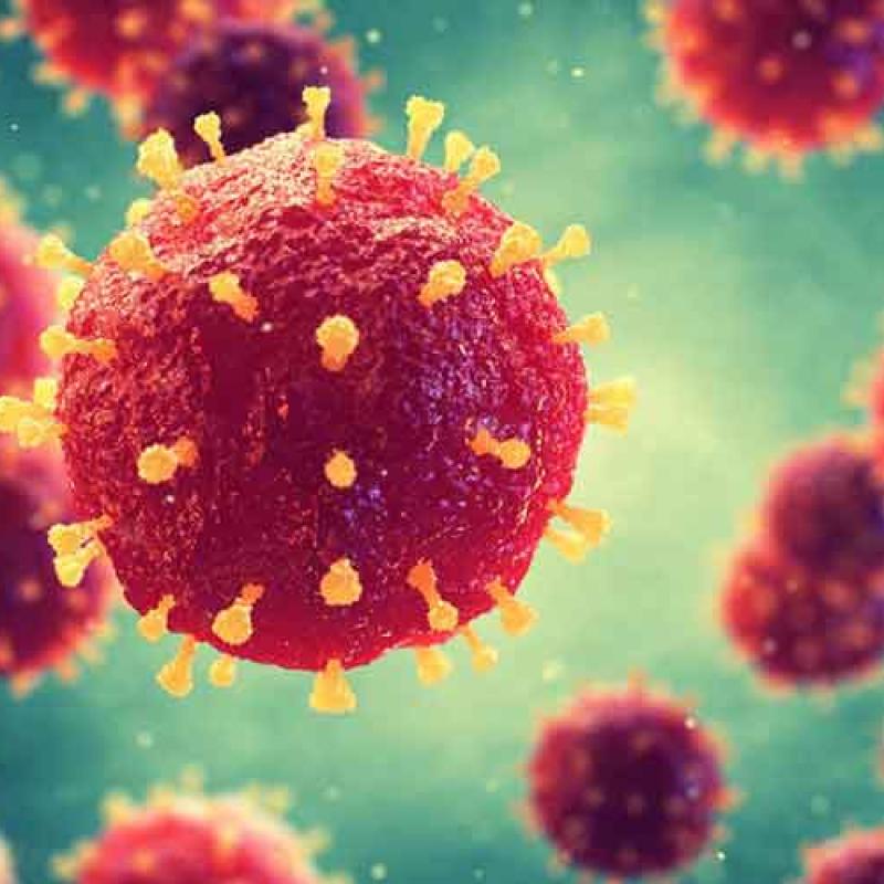 What is Coronavirus?