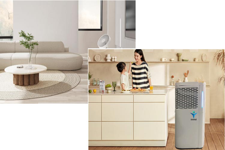 air purifier manchine