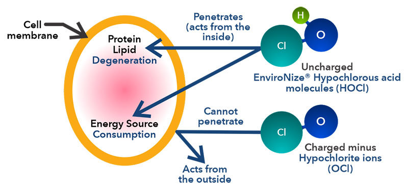 Hypochlorous acid Generator.jpg