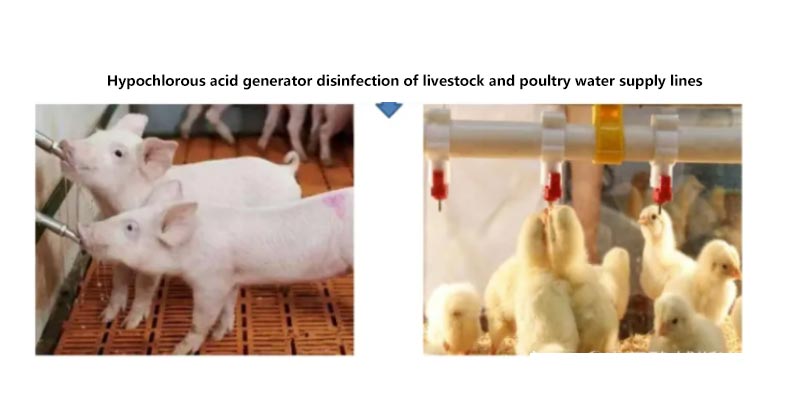 Hypochlorous acid application scenario