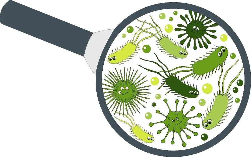 Is Hypochlorous Acid Antifungal?