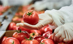 Disinfection in food processing plants