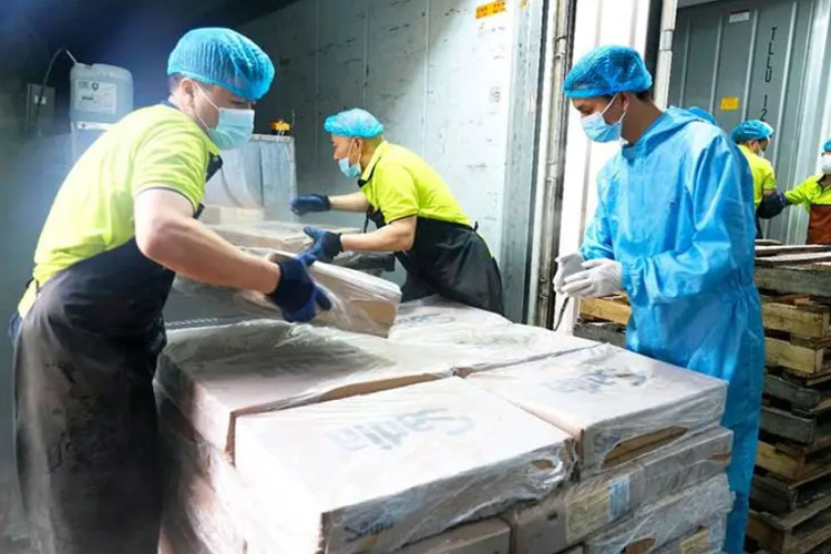 Cold chain disinfection