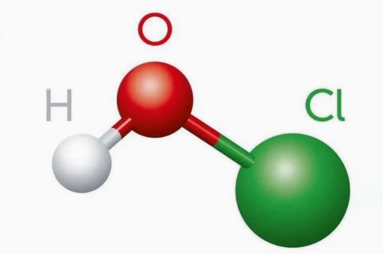 What Does HOCl Stand For?