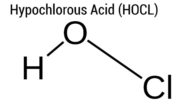 What is HOCl?