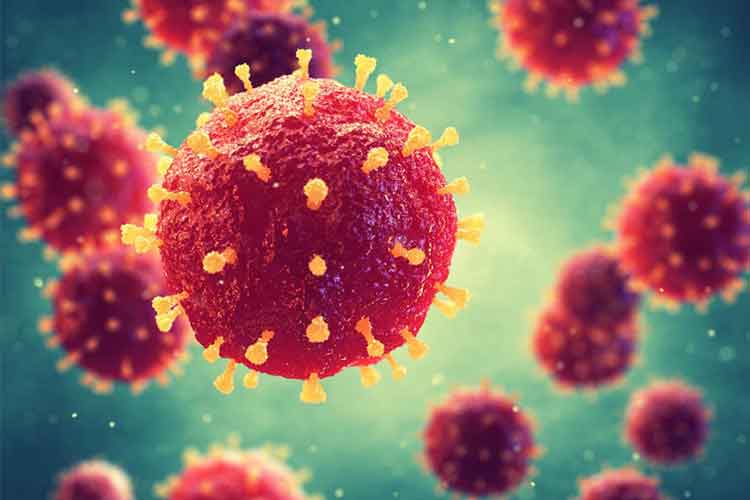 What is Coronavirus?.jpg